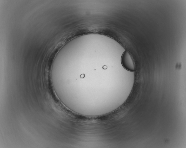 X0000112970646200908270944