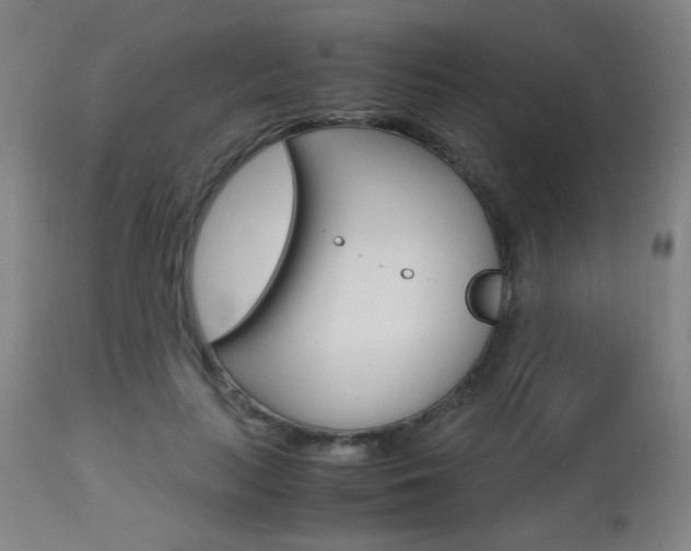 X0000112970647200908270944