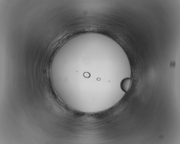 X0000112970648200908270944