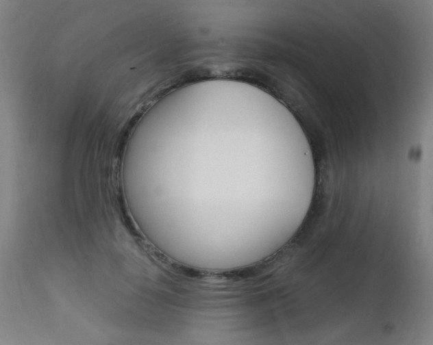 X0000112970650200908270944