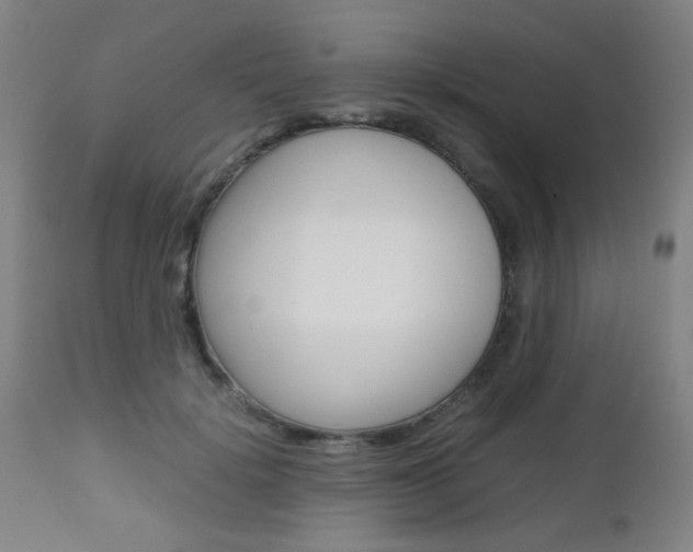 X0000112970652200908270944