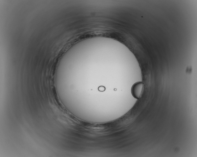 X0000112970653200908270944