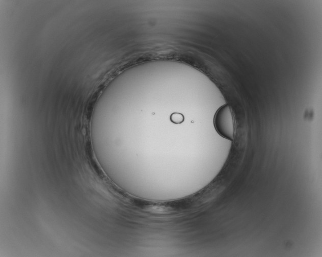 X0000112970654200908270944