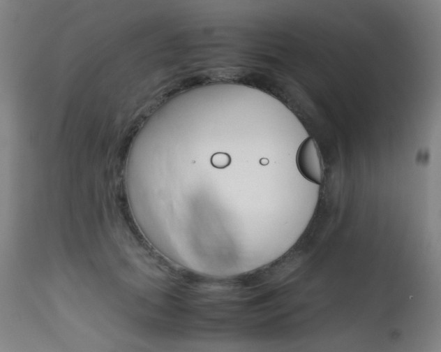X0000112970655200908270944
