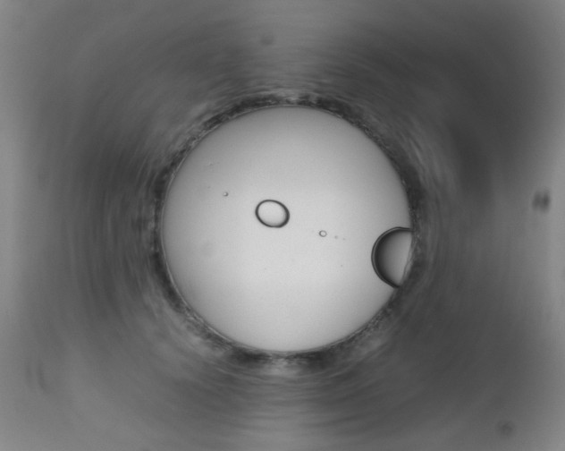 X0000112970656200908270944