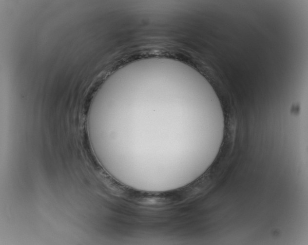 X0000112970657200908270944