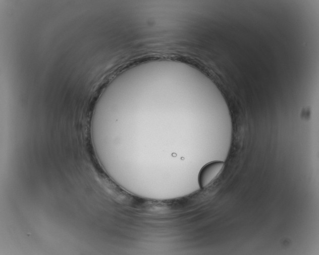 X0000112970658200908270944