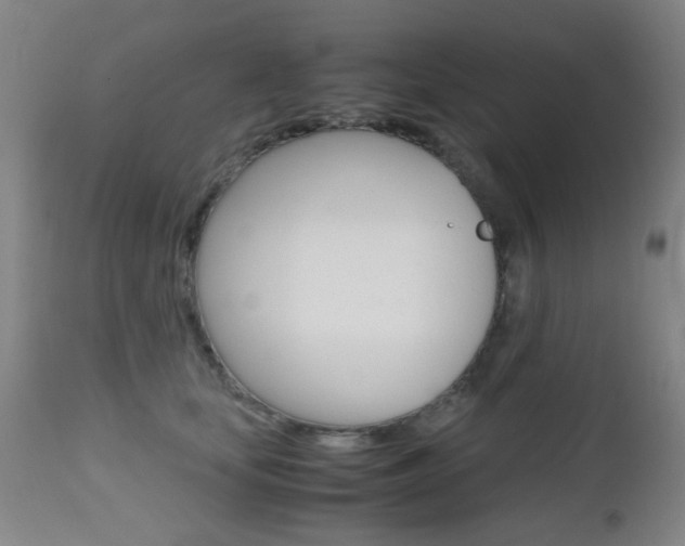 X0000112970659200908270944