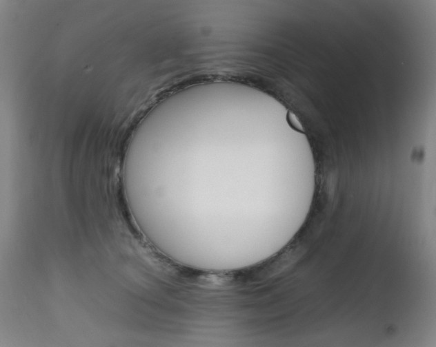 X0000112970660200908270944