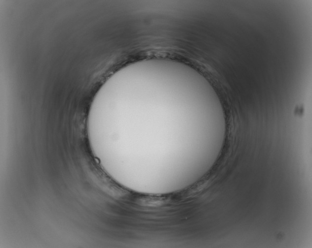 X0000112970661200908270944