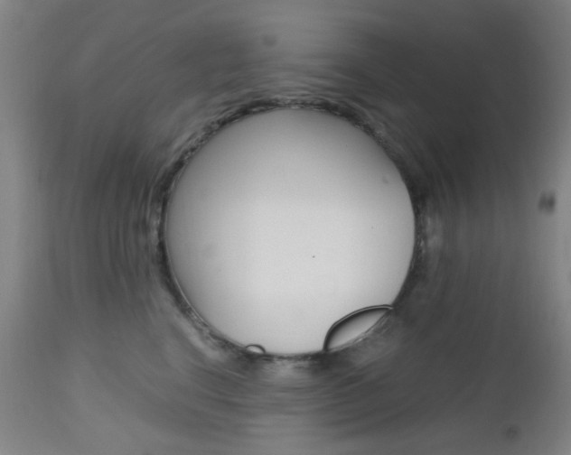 X0000112970664200908270944