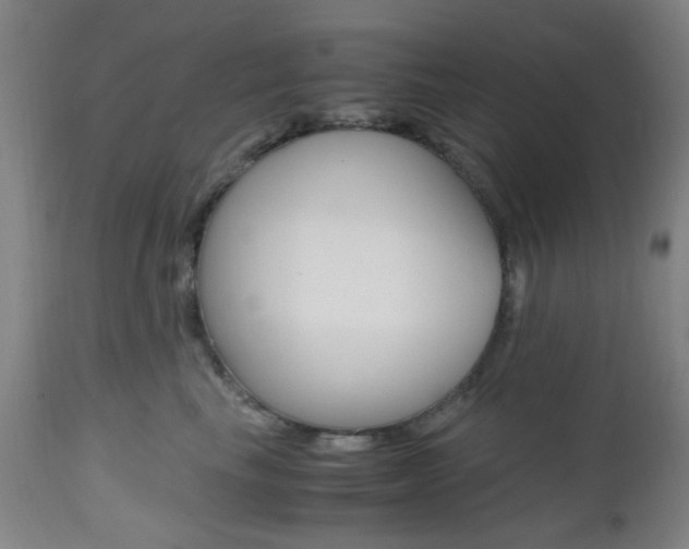 X0000112970665200908270944