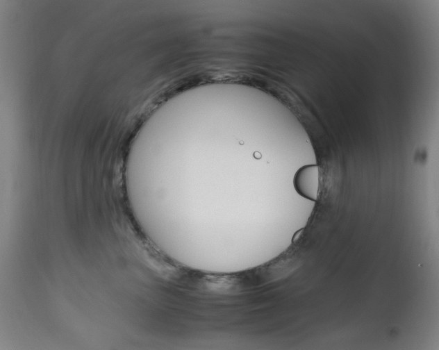 X0000112970667200908270945