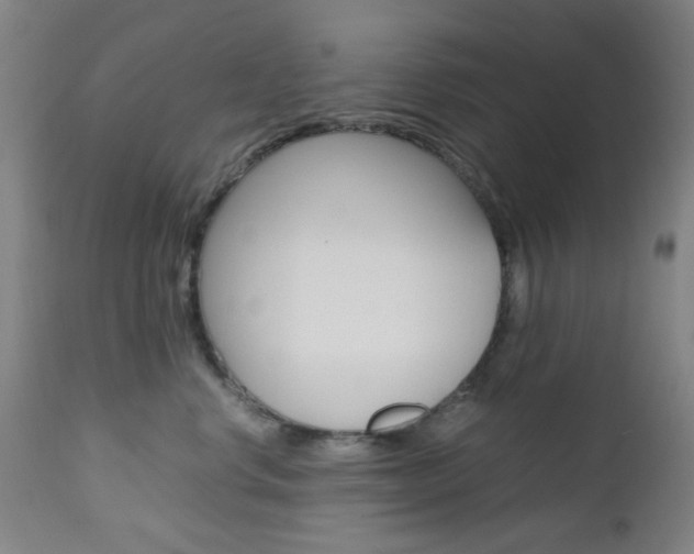 X0000112970668200908270945