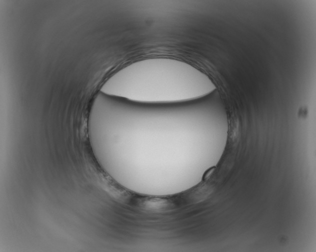 X0000112970669200908270945