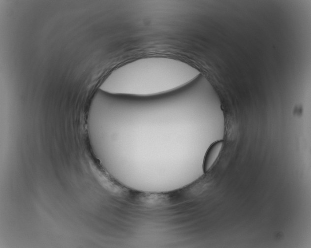 X0000112970670200908270945