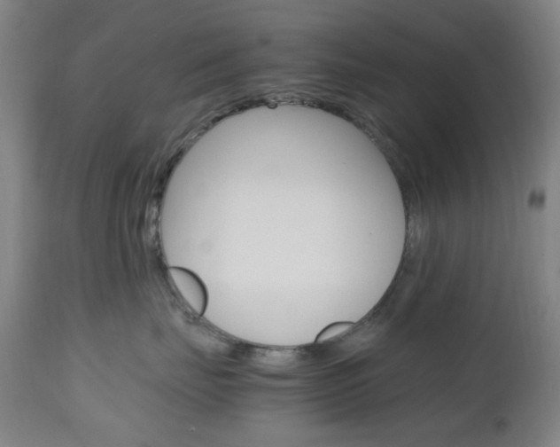 X0000112970671200908270945