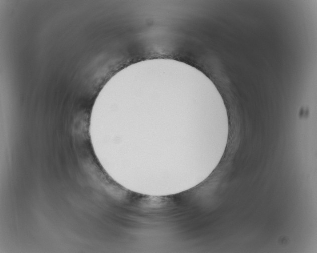 X0000112970672200908270945
