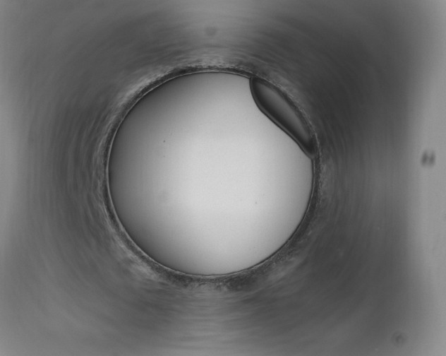 X0000112970673200908270944