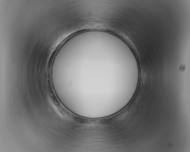 X0000112970674200908270944