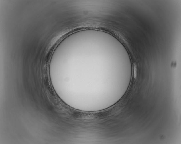 X0000112970675200908270944