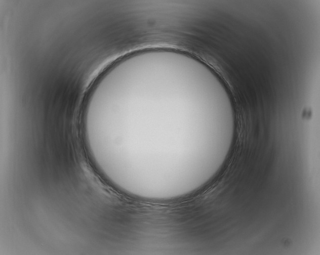 X0000112970676200908270944