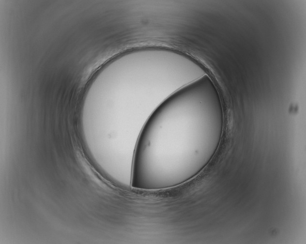 X0000112970677200908270944