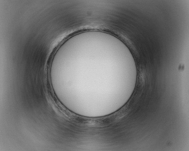 X0000112970678200908270944