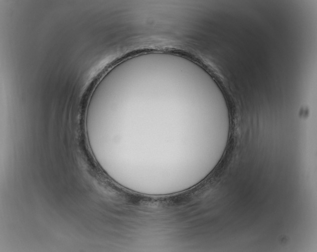 X0000112970679200908270944