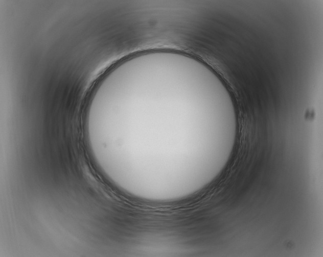 X0000112970680200908270944
