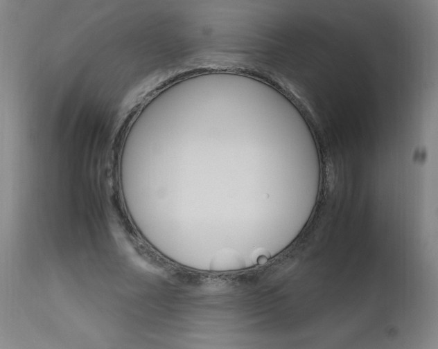 X0000112970682200908270944
