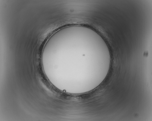 X0000112970683200908270944