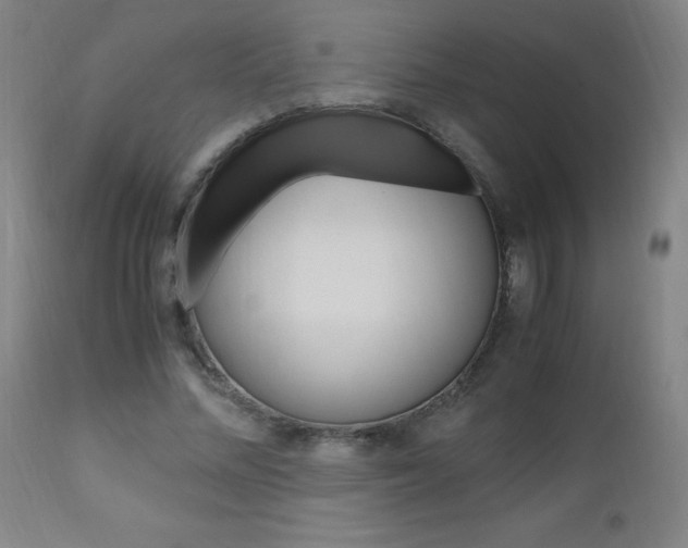X0000112970684200908270944