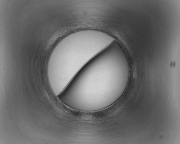 X0000112970685200908270944