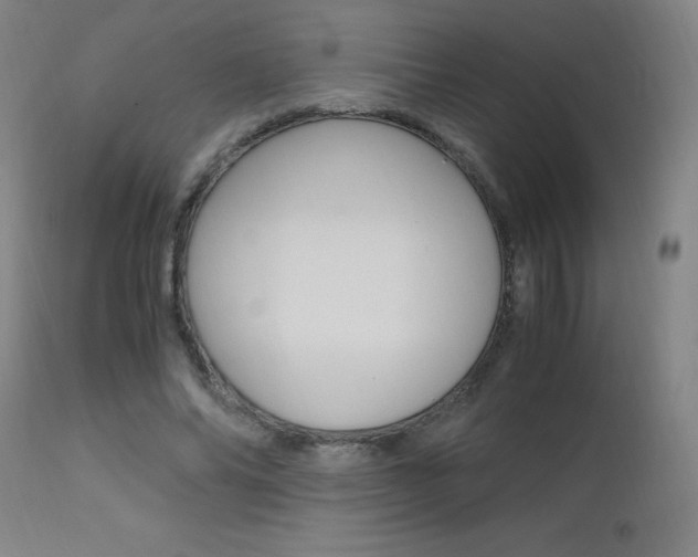 X0000112970686200908270944