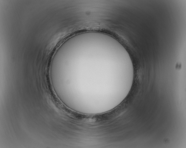 X0000112970687200908270944