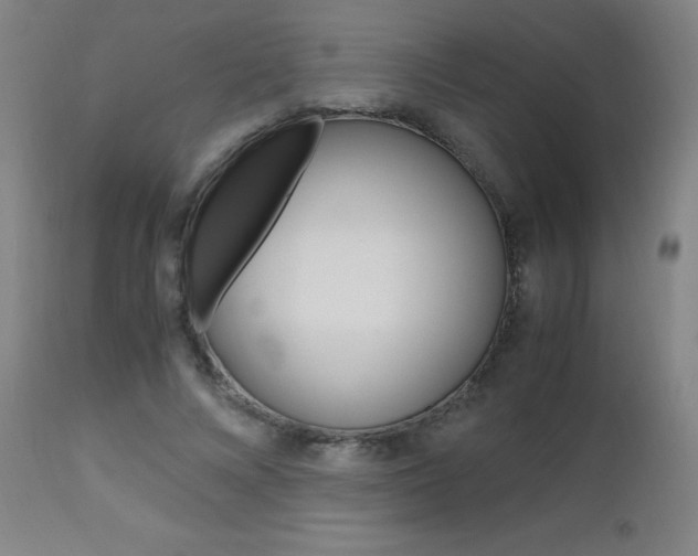 X0000112970688200908270944