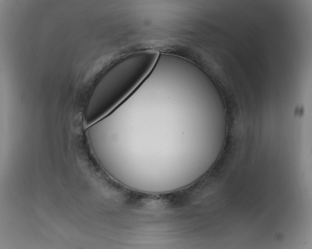X0000112970689200908270944