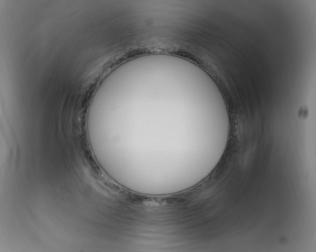 X0000112970690200908270944