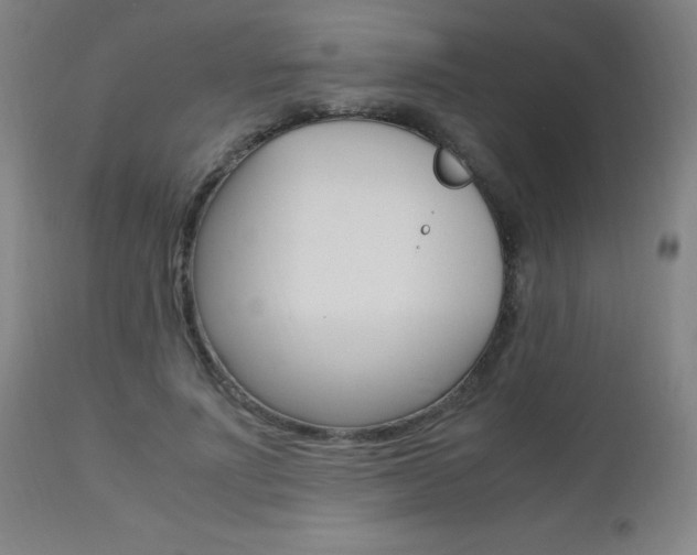 X0000112970691200908270943