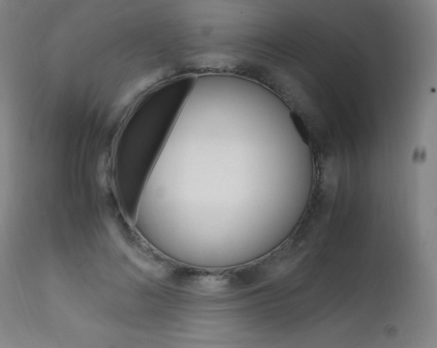 X0000112970692200908270943