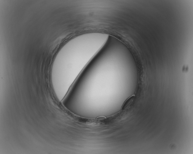 X0000112970693200908270943
