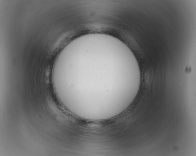 X0000112970694200908270943