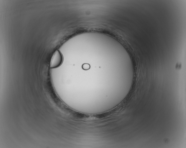 X0000112970695200908270943