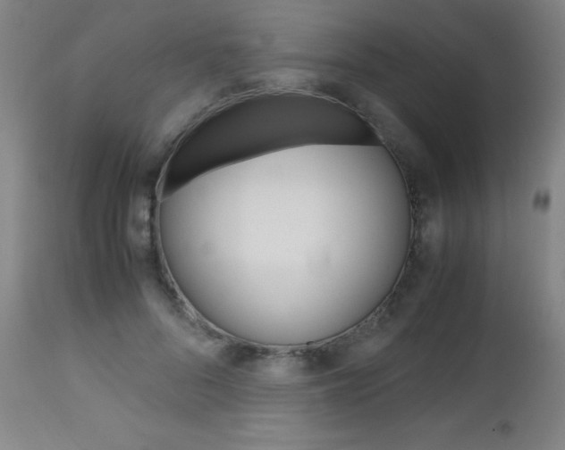 X0000112970696200908270943