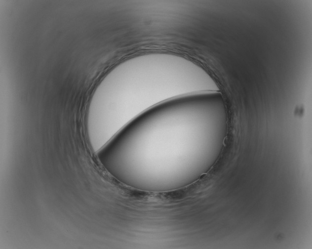 X0000112970697200908270943