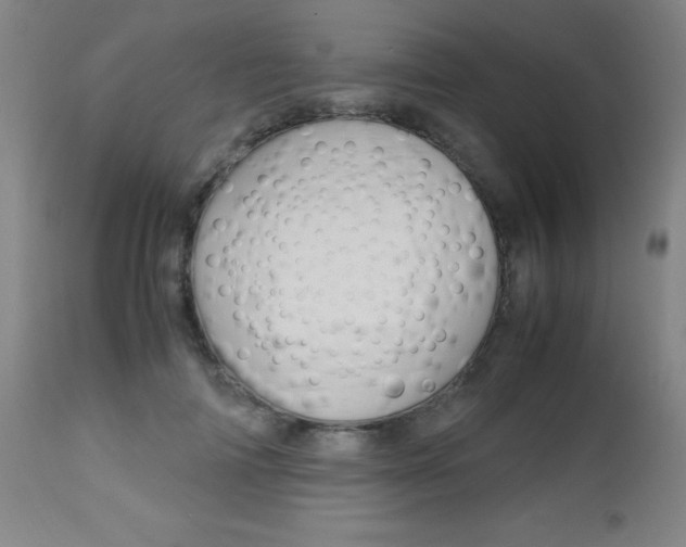 X0000112970698200908270943