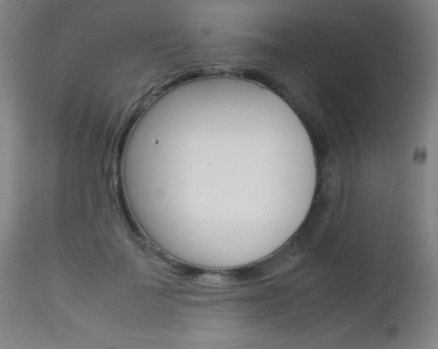 X0000112970699200908270943
