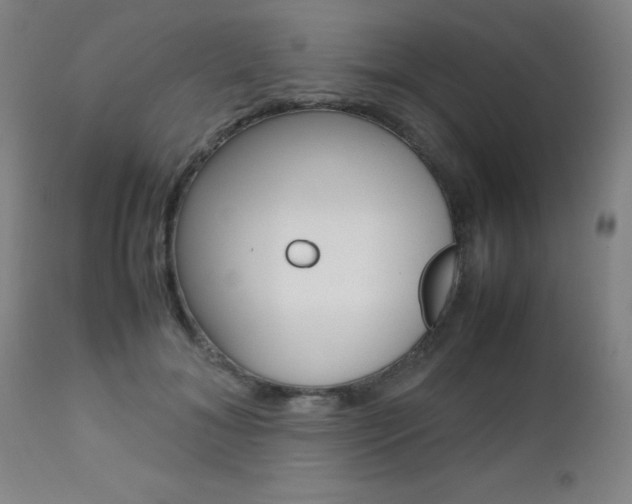 X0000112970700200908270943