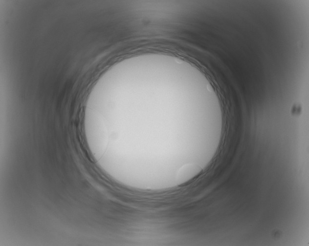 X0000112970701200908270943